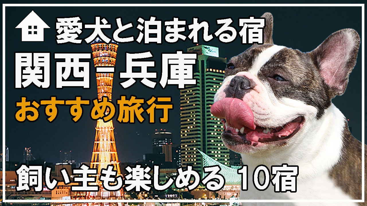 犬ごはん-犬と泊まれる-関西兵庫