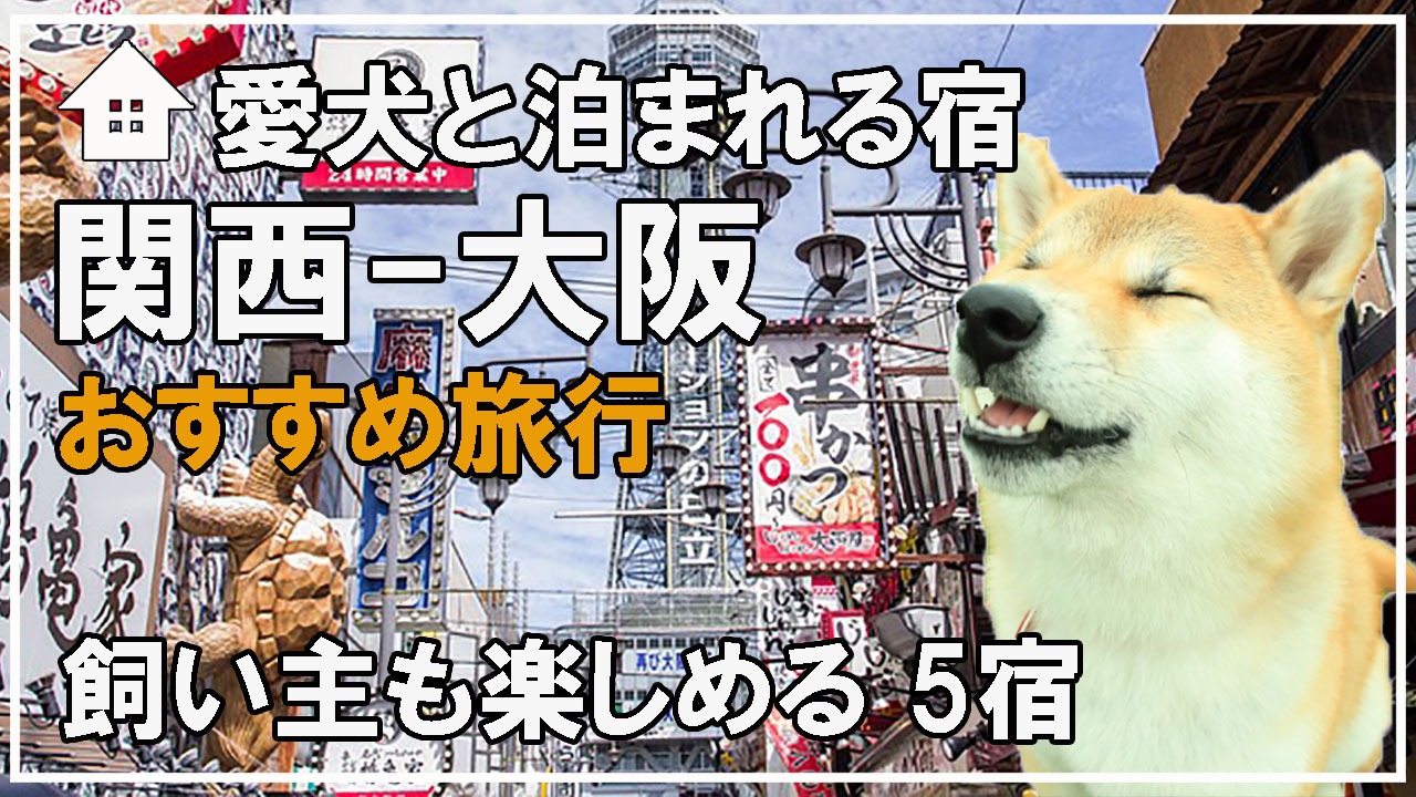 犬ごはん-犬と泊まれる-関西大阪