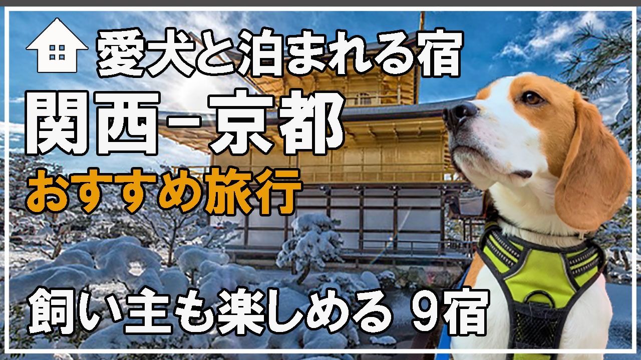 ペットも泊まれる宿 安い 夕日ヶ浦 犬